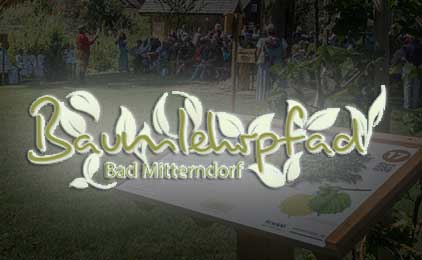 Baumlehrpfad bad Mitterndorf